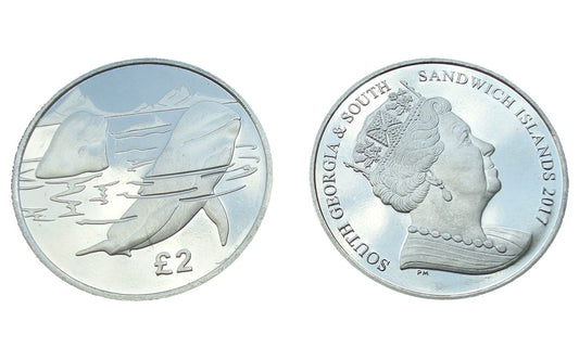 PD Georgia 2 funty Delfiny 2017