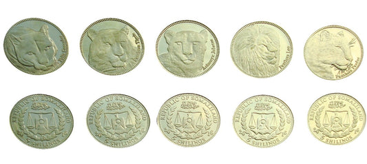 Somaliland 5 szylingów x 5 Wielkie koty 2016