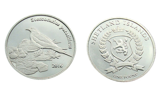 Szetlandy 1 Funt Wydrzyk z młodymi 2016