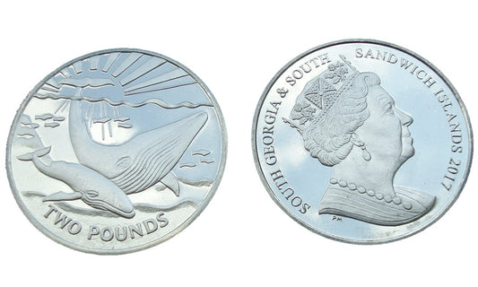 PD Georgia 2 funty Wieloryby 2017