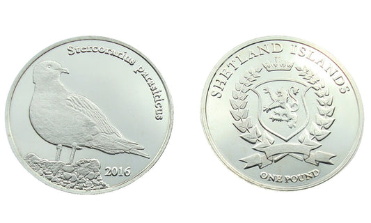 Szetlandy 1 Funt Wydrzyk ostrosterny 2016