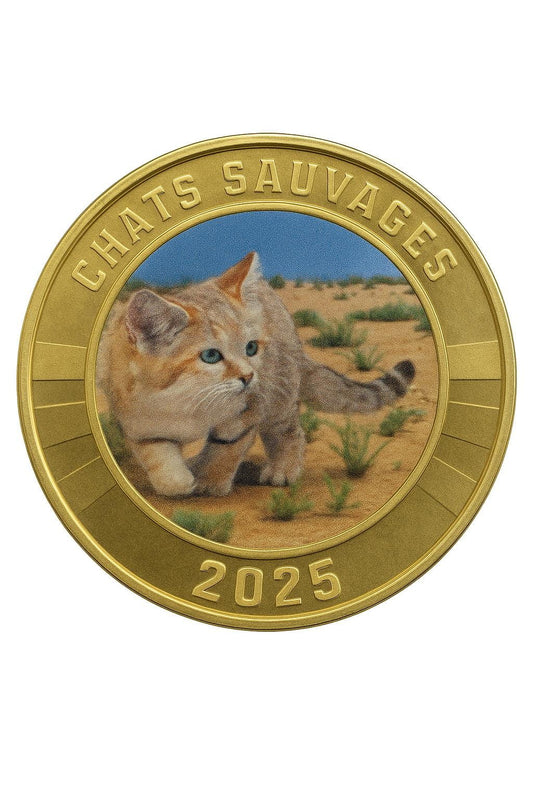 Fr. Teryt. Pd i Antarktyczne 3 Fr Kot pustynny 2025