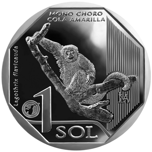 Peru 1 sol Wełniak żółty 2019